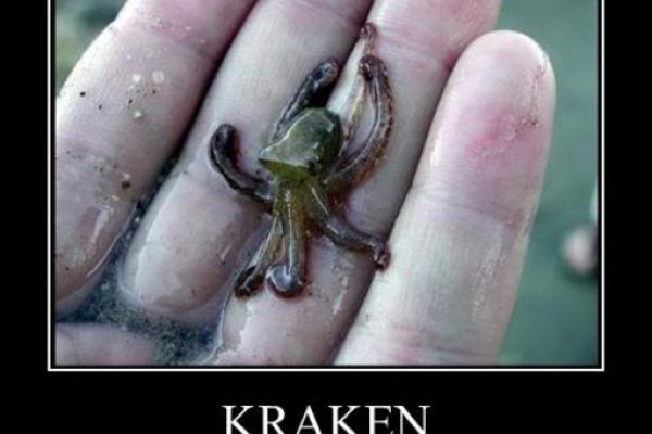 Kraken 4 ссылка