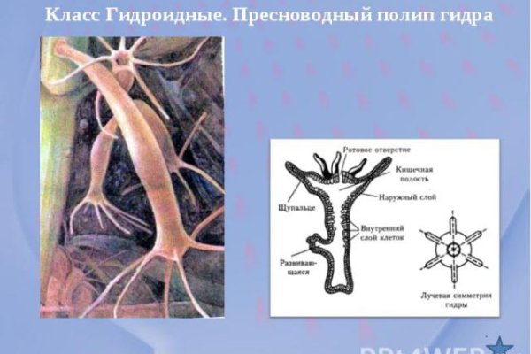 Кракен дарксайд 2025 ссылка