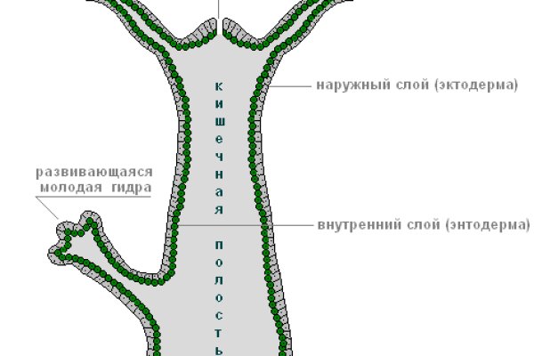 Как зайти на кракен с телефона андроид